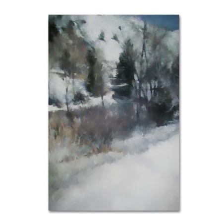 Jai Johnson 'Winter Impressions In Colorado 1' Canvas Art,30x47